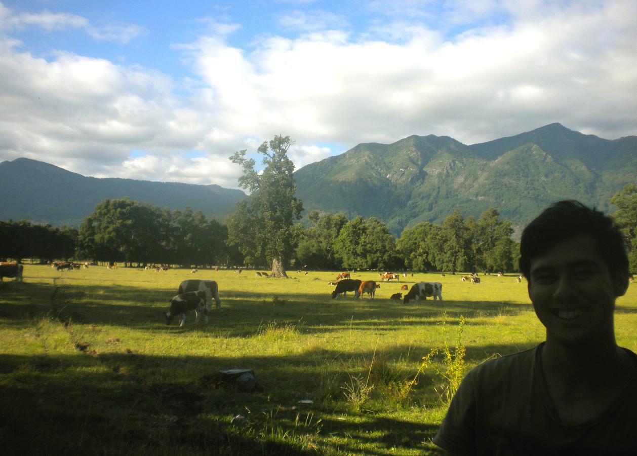Hostal Tour Pucon Ngoại thất bức ảnh